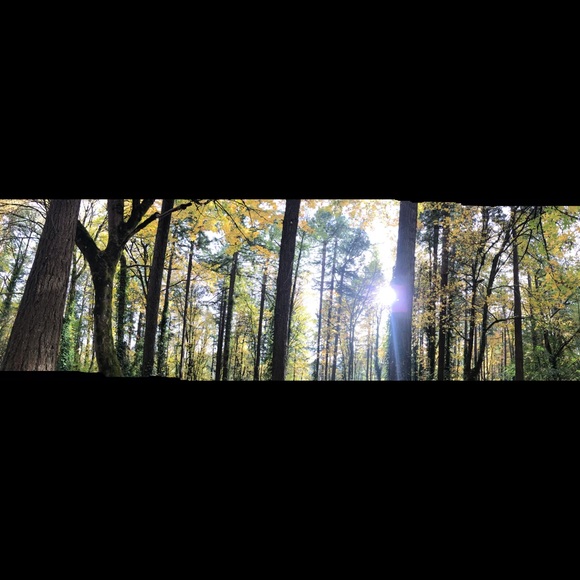 Offering SAME-DAY SHIPPING 6 days a week✈️✈️✈️ - Picture 3 of 10